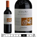 コノスル　カルメネール　ビシクレタ　レゼルバ[2020]ヴィーニャ・コノスル 赤 750ml Vina Cono Sur[Cono Sur Carmenere Bicicleta Reserva] チリ 赤ワイン