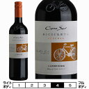 RmX@Jl[@rVN^@[o[2020]B[jERmX  750ml Vina Cono Sur[Cono Sur Carmenere Bicicleta Reserva] ` ԃC