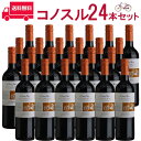 【お得な24本セット】コノスル　カルメネール　ビシクレタ　レゼルバ ヴィーニャ・コノスル 赤 750ml Vina Cono Sur[Cono Sur Carmenere Bicicleta Reserva] チリ 赤ワイン 業務量 飲食店 プロ向け 送料無料※北海道・九州は別途330円送料が加算されます