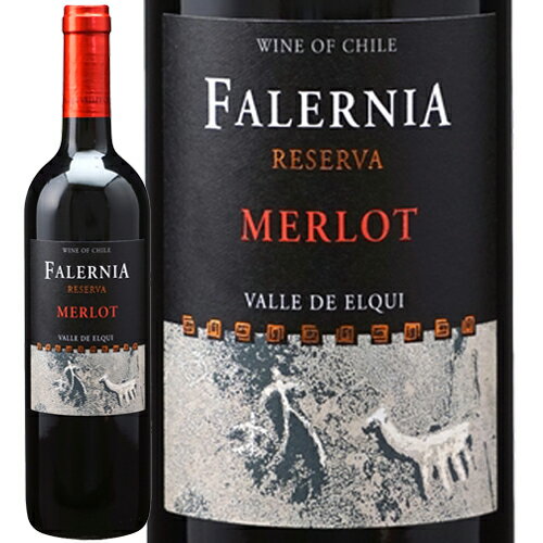メルロ　レセルバ[2020]ビーニャ　ファレルニア 赤 750ml　Vina Falernia [Merlot Reserva]チリ エルキ ヴァレー 赤ワイン
