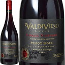 VOB[h JEPlX smEm[[2020]r[jEofBrG\ 750ml ` ZgE@[ }EE@[ gDgDFE@[[Vina Valdivieso]Single Vineyard Cauquenes Pinot Noir ԃC