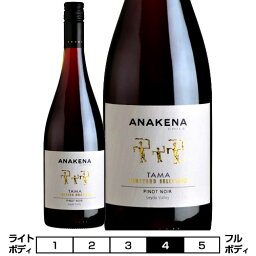 アナケナ・タマ・ヴィンヤード・セレクション ピノ・ノワール(樽熟)[2016]アナケナ 赤 750ml　Anakena [Anakena Tama Vineyard Selection Pinot Noir] チリ 赤ワイン