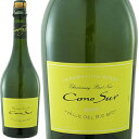 コノスル　スパークリングワイン　ブリュット[N/V]ヴィーニャ・コノスル 泡・白 750ml Vina Cono Sur[Cono Sur Sparkling Wine Brut] チリ ビオ・ビオ・ヴァレー スパークリングワイン