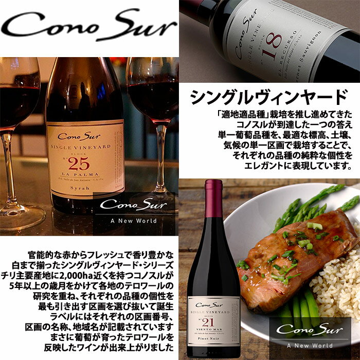 コノスル シングル・ヴィンヤード シリーズ よりどり7本セット ヴィーニャ・コノスル 赤 750ml　Vina Cono Sur[Cono Sur Single Vineyard]チリ 赤ワイン 白ワイン ワインセット 送料無料【ワイン福袋セット】