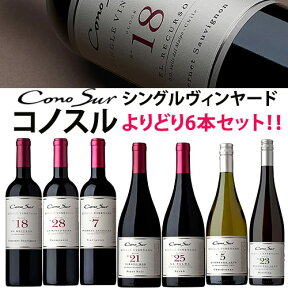 コノスル シングル・ヴィンヤード シリーズ よりどり6本セット ヴィーニャ・コノスル 赤 750ml　Vina Cono Sur[Cono Sur Single Vineyard]チリ 赤ワイン 白ワイン ワインセット 送料無料【ワイン福袋セット】