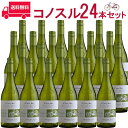 【お得な24本セット】コノスル　ソーヴィニヨン・ブラン　ビシクレタ　レゼルバ 白 750ml Vina Cono Sur[Cono Sur Sauvignon Blanc Bicicleta Reserva] チリ 白ワイン 業務量 飲食店 プロ向け 送料無料※北海道・九州は別途330円送料が加算されます