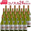 【お得な24本セット】コノスル　ヴィオニエ　ビシクレタ　レゼルバ ヴィーニャ・コノスル 白 750ml Vina Cono Sur[Cono Sur Viognier Bicicleta Reserva] チリ 白ワイン 業務量 飲食店 プロ向け 送料無料※北海道・九州は別途330円送料が加算されます