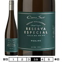 コノスル リースリング レゼルバ・エスペシャル[2021]ヴィーニャ・コノスル 白 750ml Vina Cono Sur[Cono Sur Riesling Reserva Especial] チリ 白ワイン ヴァレー コレクション Valley Collection