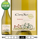 コノスル オーガニック シャルドネ ハーフ[2021]ヴィーニャ・コノスル 白 375ml Vina Cono Sur[Cono Sur Organic Chardonnay Half] チリ 白ワイン