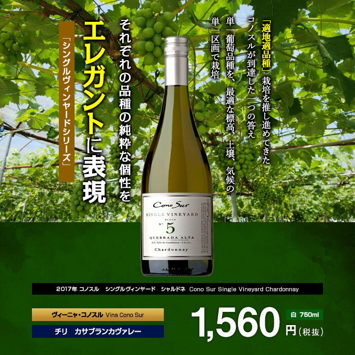 【送料無料】コノスル シングルヴィンヤード シャルドネ/ヴィーニャ・コノスル 白 750ml×6本セット 1箱 Vina Cono Sur[Cono Sur Single Vineyard Chardonnay] チリ 白ワイン 飲食店におすすめ 業務用 プロ向け