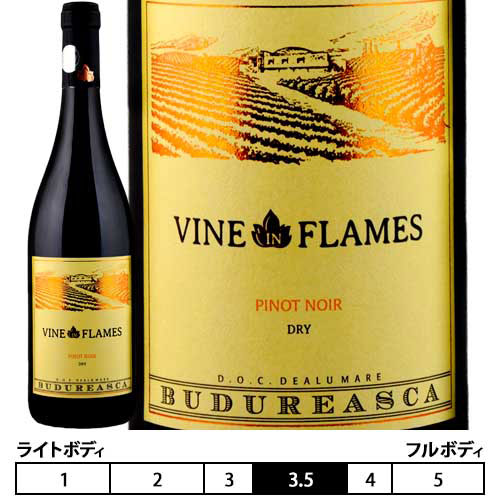 ヴァイン イン フレイム ピノ ノワール 2019 ヴィル ブドゥレアスカ 赤 750ml Viile Budureasca Vine in Flames Pinot Noir ルーマニア ムンテア 赤ワイン