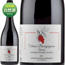 ニコラ・ラスピエコトー・ブルギニヨン ガメイ 赤 750ml　Coteaux Bourguignons Gamayフランス ブルゴーニュ 赤ワイン 自然派ワイン ビオディナミ ヴァン・ナチュール