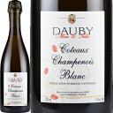 シャンパーニュ　ドビ泡・白 750ml DaubyChampagne フランス シャンパン スパークリングワイン Champagne