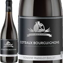 Rg[EuMj [W EubNE`FA[Y[2021]hEoCG  750ml@Hudelot-Baillet[Coteaux Bourguignons Rouge Les Black Chairs] tX uS[j ԃC