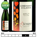 クレマン ダルザス ブリュット ナチュール セレクショネ パー マルク テンペ N/V ドメーヌ マルク テンペ 泡 白 750ml Cremant D 039 Alsace Brut Nature Selectionne Par Marc Tempe Domaine Marc Tempe フランス アルザス スパークリングワイン クレマン