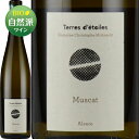 ミュスカテール・デトワール（クリストフ・ミットナット）白 750ml Terres d'étoiles (Christophe Mittnacht)フランス アルザス 白ワイン ビオディナミ ヴァンナチュール 自然派ワイン