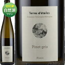 ピノ グリ 2020 テール デトワール（クリストフ ミットナット）白 750ml Terres d 039 etoiles (Christophe Mittnacht) Pinot Gris フランス アルザス 白ワイン ビオディナミ ヴァンナチュール 自然派ワイン