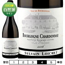 ֥르˥塡֥󡡥顦ץ쥸ɥ[2020]ɥ᡼̡󡦥亮  750ml Domaine Sylvain Loich...