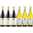 6本セット【送料無料】カリフォルニアワイン赤白飲み比べセット ゴールデン シャルドネ/ピノ・ノワール ゴールデンワイナリー 白/赤 750ml各種3本ずつ Go...