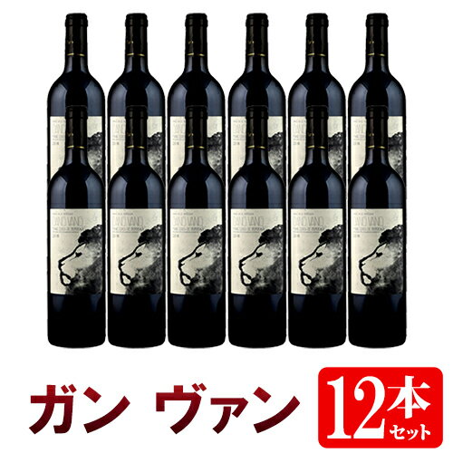 【送料無料】12本セット/1箱 ガン ヴァン[2019]赤 750ml　Gang Vang[Clos Leo]クロ・レオとシャトークリュゴダールとのコラボレーション フランス ボルドー 赤ワイン ワインセット 業務用※クール便・一部地域は追加送料※