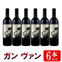 【送料無料】6本セット/1箱 ガン ヴァン[2019]赤 750ml　Gang Vang[Clos Leo]クロ・レオとシャトークリュゴダールとのコラボレーション フランス ボルドー 赤ワイン ワインセット 業務用※クール便・一部地域は追加送料※