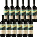 12{ZbgyzLeBENbVR[2020N]JXebEfBETg  750ml~12{ 1 Castello di Monsanto[Chianti Classico] C^A gXJ[i ԃC Ɩp HX vʓrǉGA