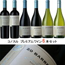 RmX 20o ~ebhEGfBV V[Y ǂ6{Zbg B[jERmX / 750ml@Vina Cono Sur[20 Barrels Limited Edition]` ԃC C CZbg   v~AC