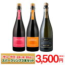 「サンテロ」お買い得！飲み比べ3本セット　ワインセット