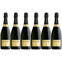 6本セット【送料無料】アチェント ブリュット N/V カヴィット 白 泡 750ml×6本 1箱 Accento Spumante Brut Cavit イタリア トレンティーノ アルト アディジェ スパークリングワイン 業務用 飲食店 プロ向け※別途追加送料エリアあり