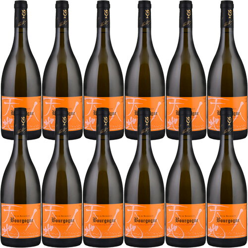 【送料無料】ブルゴーニュ ブラン12本セット[2020]ルー・デュモン 白 750ml　Lou Dumont[Bourgogne Blanc] フランス ブルゴーニュ コート・ドール コート・ド・ニュイ 白ワイン 仲田晃司※クール便・離島など別途追加送料エリアあり