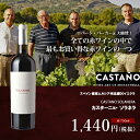 カスターニョ・ソラネラ[2019]赤ワイン CASTANO SOLANERA スペイン ムルシア イエクラ 750ml