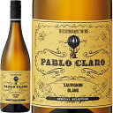 パブロ・クラロ ソーヴィニヨン・ブラン[2021]ドミニオ・デ・プンクトゥン 白 750ml Dominio de Punctum [Pablo Claro Sauvignon Blanc]スペイン 白ワイン 自然派ワイン ビオワイン オーガニックワイン 有機ワイン ビオロジック ヴィーガン