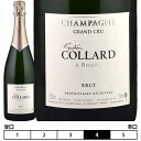 Vp[j KXgER[[N/V]ubg OEN AE 750ml@Gaston Collard [Brut Grand Cru] tX Vp Xp[NOC Champagne