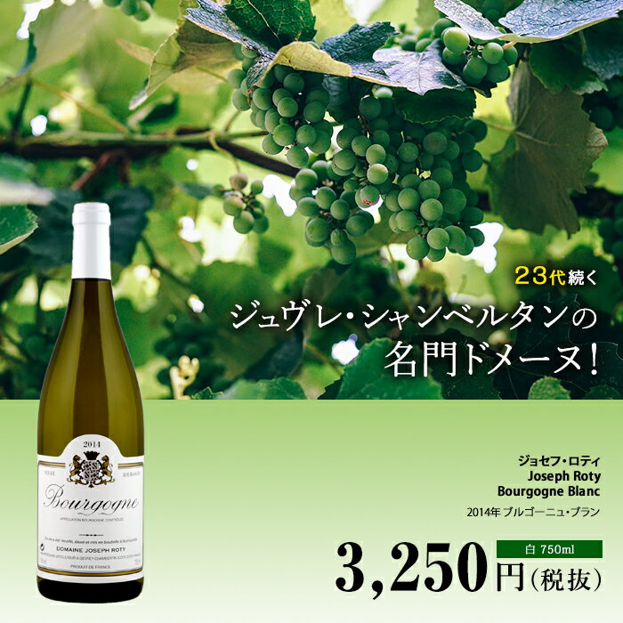 ブルゴーニュ・ブラン[2018]ジョセフ・ロティ 白 750ml　Joseph Roty[Bourgogne Blanc]フランス ブルゴーニュ 白ワイン