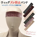 ウィッグバンド ウィッグ ズレ防止 バンド インナー キャップ ズレ ない レディース 白髪隠し つや消し スプレー白髪混じり とけこみ 毛少なめ 固定バンド 医療 赤毛 ばれない 滑り止め 中年 男性 帽子タイプ 痛くない ネット アンダーキャップ キャップ かつら 貼る 両面