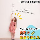 ウォールステッカー 身長計 シンプル 柱 植物 書き込める 柱 秋 ドア トイレ用 大きな木 大きな木 誕生日 ハロウィン 床 子供部屋 壁穴 ウェルカム 出産 剥がせる壁紙シール プレゼントウォールペーパー 身長 ステッカー 壁紙 記録 送料無料 こども はがせる 子ども向け