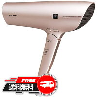 シャープ ヘアドライヤー プラズマクラスター搭載 アンティークゴールド IB-GP9-N 新品雑貨 2021 新生活 家電 プレゼント ギフト おしゃれ 景品 男性用 女性用 メンズ レディース 小物 人気 誕生日プレゼント ランキング