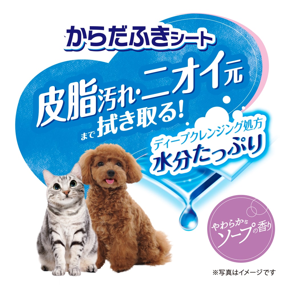 デオクリーン からだふきシート 小型犬・猫用 香り付き 28枚×24 [ 公式ショップ ] ...