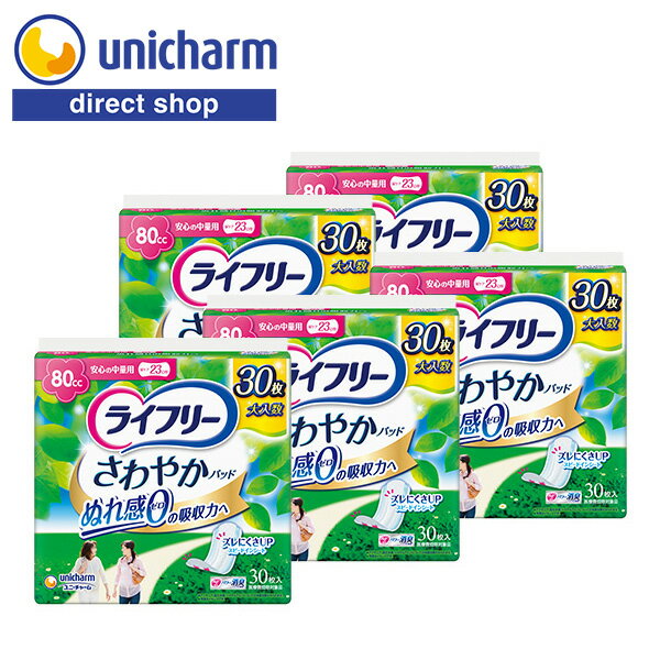 ≪訳あり商品のため特別価格≫【2セット購入で送料無料】【安心の日本製】女性用尿漏れパンツ（重度対応）同色3枚組 【ギフト非対応商品】