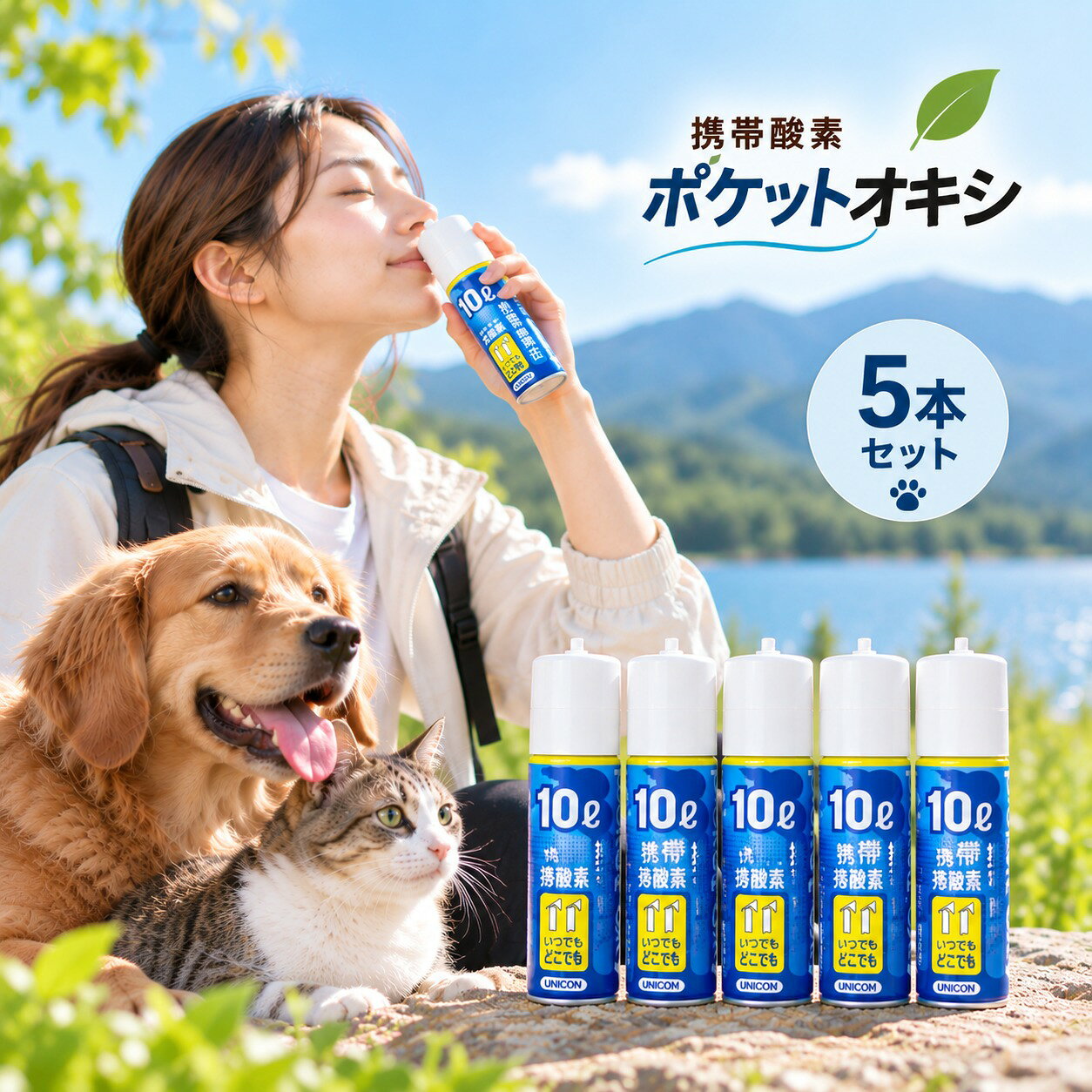 楽天市場】pocket oxyの通販