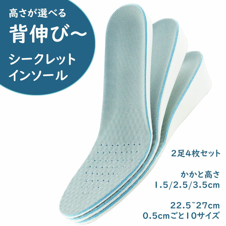 背伸び シークレット インソール 防臭 靴中敷き 足腰膝負担軽減 歩き衝撃吸収 足ストレス 足癒し 足疲れ スニーカー ヒール かかと保護 メンズ レディース
