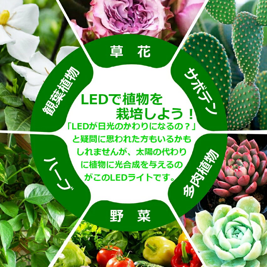 led 植物育成ライト usb スタンド UV おしゃれ タイマー 多肉植物 観葉植物 フルスペクトル 太陽光 室内栽培 水耕栽培ランプ 水草育成ライト USB電源付 192LED 15W グローライト ledライト 防水 育苗 水草 梅雨時期 冬 日照不足 省エネ 送料無料 2