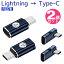 饤ȥ˥ type-c Ѵץ 2ĥå PDб 27W iphone Ѵ LightningType-C ץ C 饤ȥ˥ Ѵͥ  typec ipad c ® ץ Ŵ ֥ usb USB-C ǡž  ѥ ޥ