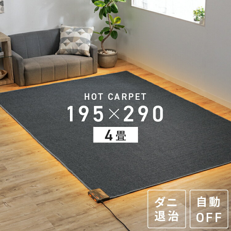 ホットカーペット 4畳 本体 電気マット電気カーペット 195×290cm 4畳用 4畳タイプ ホットマット 電気マット 足元 ホットカーペット本体 ホカペ 床暖房カーペット 四畳 暖房面積切替 節電 エコ 暖房 足元暖房 ダニ対策 長方形 TEKNOS TWA-4000BIのサムネイル