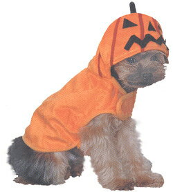 ハロウィンは鮮やかなカラーで注目の的！！ハロウィンウェアー【0929アップ祭10】