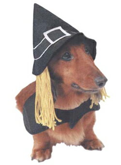 今年のハロウィンは魔女に変身？！◆ウィッチウェアー