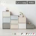 【単品】収納ボックス 収納ケース