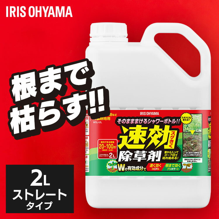 [ݥ5ܡ2710] 2L ®   ꥹ  Ϥ餷 к   ǥ˥  ȥ졼...