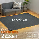 ホットカーペット 2畳 1畳 1.5畳 3畳 4畳 ラグ セット 省エネ 本体 TEKNOS 電気カーペット コンパクト ホットマット 電気マット 省エネ 正方形 切り忘れ自動OFF ダニ退治機能 簡単操作 温度調節 コンパクト収納 グレー【B】