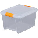 収納ボックス フタ付き 高い所ボックス TB-43 10個セット 高い所 衣類収納 お得な10個セット 幅32×奥行41×高さ24cm 収納ケース 衣類 収納 衣装ケース 蓋付き クローゼット 押入れ プラスチック アイリスオーヤマ セット 家具 収納